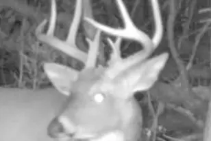 1398 12 Mile Rd, Remus, MI 49340 - Photo 84