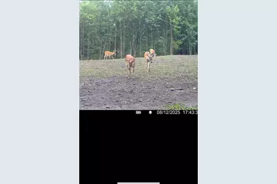 1398 12 Mile Road, Remus, MI 49340 - Photo 92