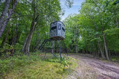 1398 12 Mile Road, Remus, MI 49340 - Photo 6