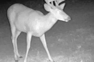 1398 12 Mile Rd, Remus, MI 49340 - Photo 74