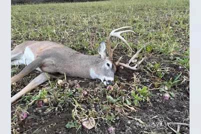 1398 12 Mile Road, Remus, MI 49340 - Photo 30