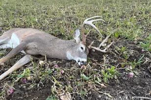 1398 12 Mile Rd, Remus, MI 49340 - Photo 30