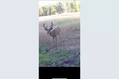 1398 12 Mile Road, Remus, MI 49340 - Photo 96