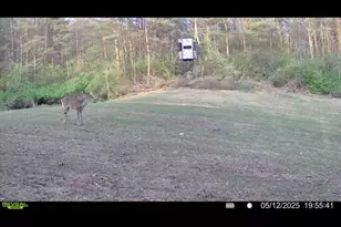 1398 12 Mile Rd, Remus, MI 49340 - Photo 78