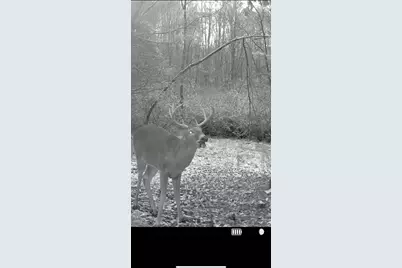 360 12 Mile Road, Remus, MI 49340 - Photo 62