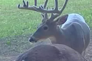 360 12 Mile Rd, Remus, MI 49340 - Photo 76