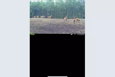 360 12 Mile Road, Remus, MI 49340 - Photo 94