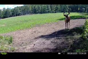 360 12 Mile Rd, Remus, MI 49340 - Photo 72