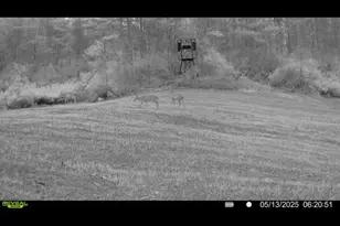 360 12 Mile Rd, Remus, MI 49340 - Photo 80