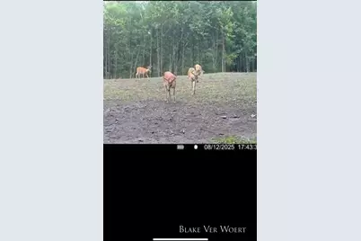 360 12 Mile Road, Remus, MI 49340 - Photo 28