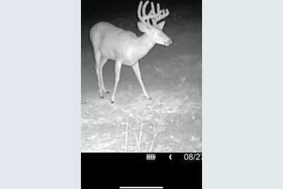 360 12 Mile Road, Remus, MI 49340 - Photo 74