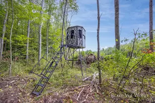 360 12 Mile Rd, Remus, MI 49340 - Photo 26