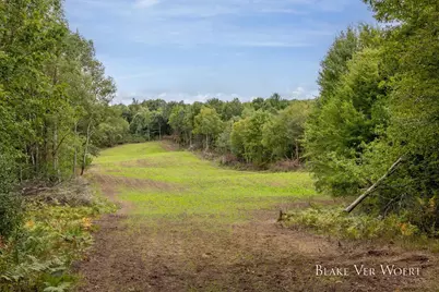 360 12 Mile Road, Remus, MI 49340 - Photo 24