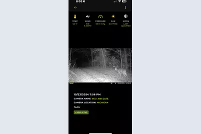 360 12 Mile Road, Remus, MI 49340 - Photo 104