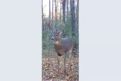 360 12 Mile Road, Remus, MI 49340 - Photo 82