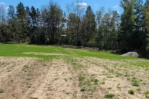 7909 11 Mile Rd, Bear Lake, MI 49614 - Photo 24