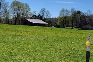 7909 11 Mile Rd, Bear Lake, MI 49614 - Photo 28
