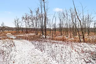 6175 Fox Run Cir, Canadian Lakes, MI 49346 - Photo 26