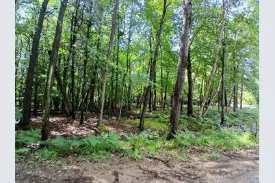 Range Street, Mears, MI 49436 - Photo 2