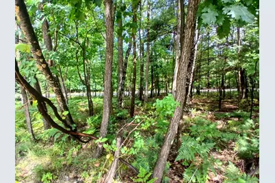 Ridge Road, Mears, MI 49436 - Photo 8