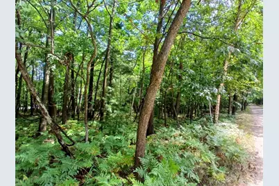 Ridge Road, Mears, MI 49436 - Photo 6