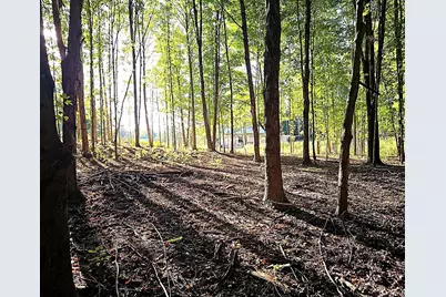 369 County Road 665, Bloomingdale, MI 49026 - Photo 2