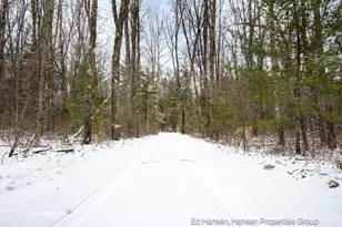 8482 S Cypress Ave, Newaygo, MI 49337 - Photo 60