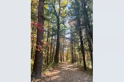 8482 S Cypress Avenue, Newaygo, MI 49337 - Photo 58