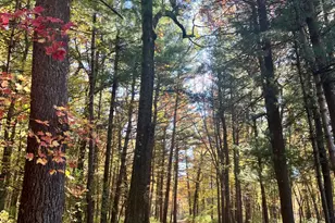 8482 S Cypress Ave, Newaygo, MI 49337 - Photo 58