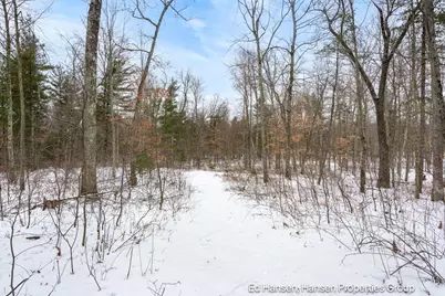 8482 S Cypress Avenue, Newaygo, MI 49337 - Photo 62