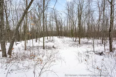 8482 S Cypress Avenue, Newaygo, MI 49337 - Photo 64