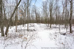 8482 S Cypress Ave, Newaygo, MI 49337 - Photo 64