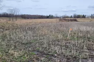 V/L Tasker Rd, Lake Odessa, MI 48849 - Photo 1