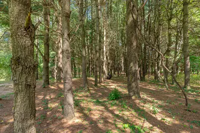 6211 Kies Street NE, Rockford, MI 49341 - Photo 58