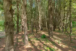 6211 Kies St NE, Rockford, MI 49341 - Photo 58