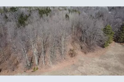 Vl 17 9 Mile Road, Kaleva, MI 49645 - Photo 26