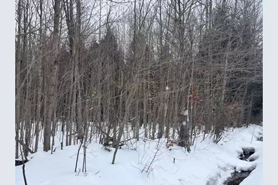 Vl 17 9 Mile Road, Kaleva, MI 49645 - Photo 16