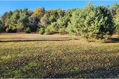 Vl 17 9 Mile Road, Kaleva, MI 49645 - Photo 4