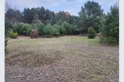 Vl 17 9 Mile Road, Kaleva, MI 49645 - Photo 10