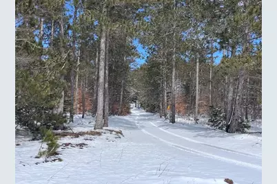 7313 W 12 1/2 Road, Mesick, MI 49668 - Photo 72