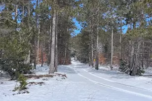 7313 W 12 1/2 Rd, Mesick, MI 49668 - Photo 72