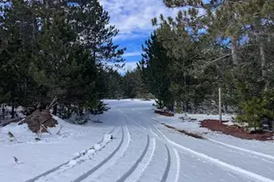 7313 W 12 1/2 Rd, Mesick, MI 49668 - Photo 76