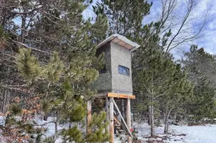 7313 W 12 1/2 Rd, Mesick, MI 49668 - Photo 74