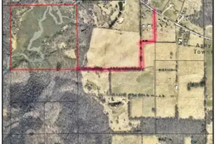 Approx Jones Rd, Bellevue, MI 49021 - Photo 1