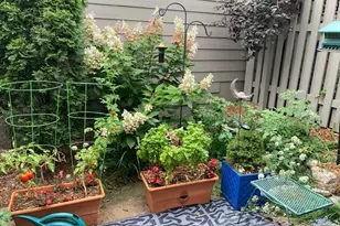 768 Watersedge Dr, Ann Arbor, MI 48105 - Photo 26