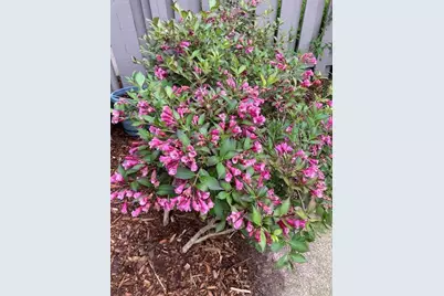 768 Watersedge Drive, Ann Arbor, MI 48105 - Photo 30