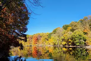 7544 Thornapple River Dr SE, Caledonia, MI 49316 - Photo 50