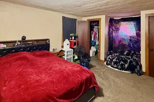 510 Spruce St, Dowagiac, MI 49047 - Photo 20