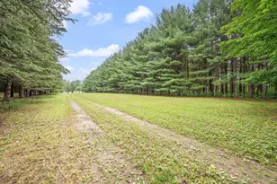 15220 NW Rapids Dr, Hersey, MI 49639 - Photo 12