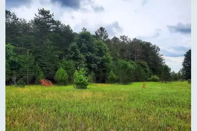 10836 30th Avenue, Evart, MI 49631 - Photo 38